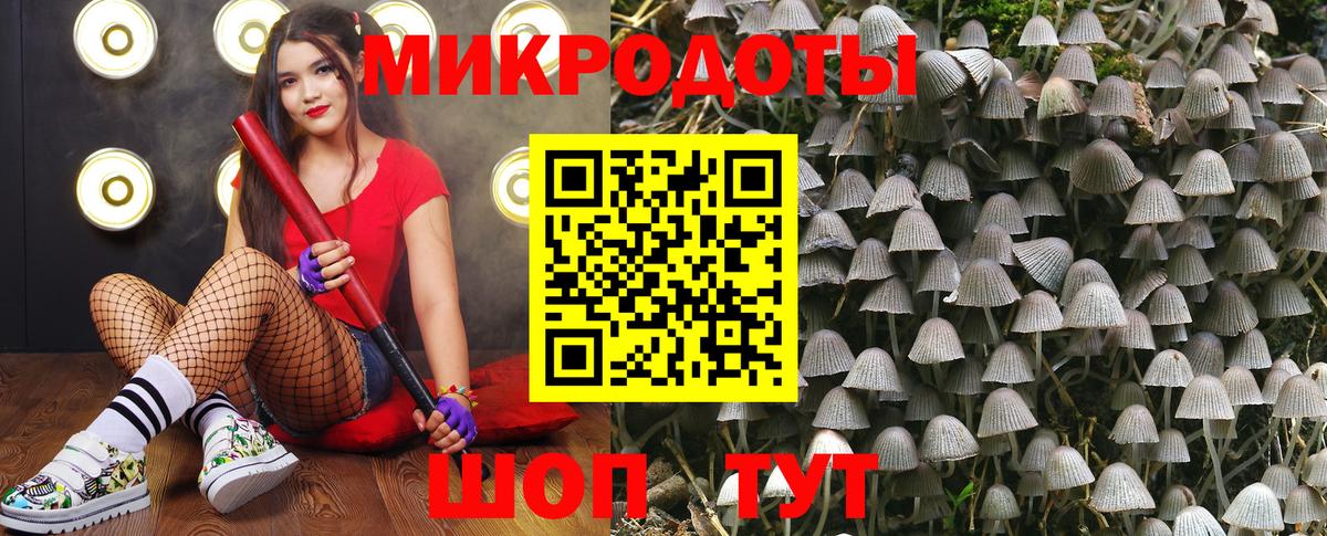 Строитель  Галлюциногенные грибы прущие грибы  Вход с VPN 